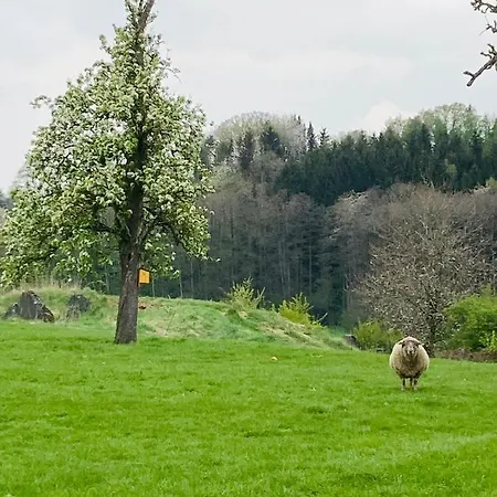 Gut Kalkhaeuschen, Ein Ort Mit Geschichte Aachen